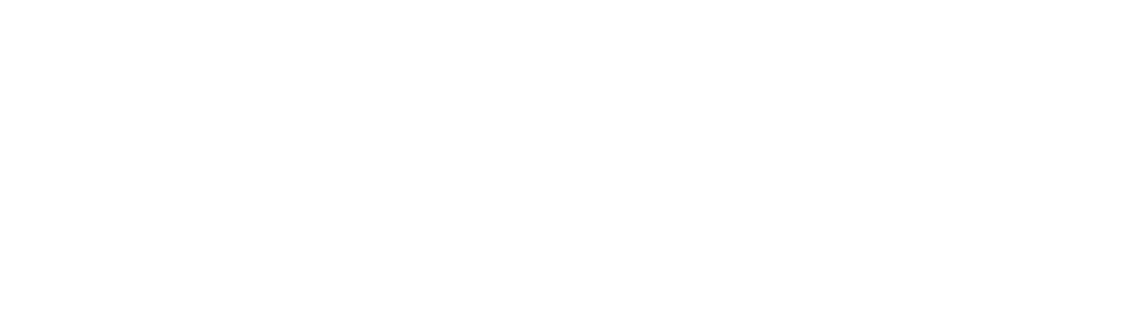 Palácio dos Biscainhos Logo